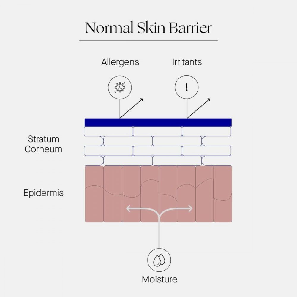 Augustinus bader – the cream – 50ml - image 6